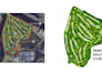 design a professional golf course map illustration
